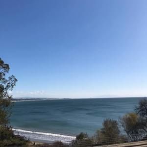 Meet your Posher, Joni